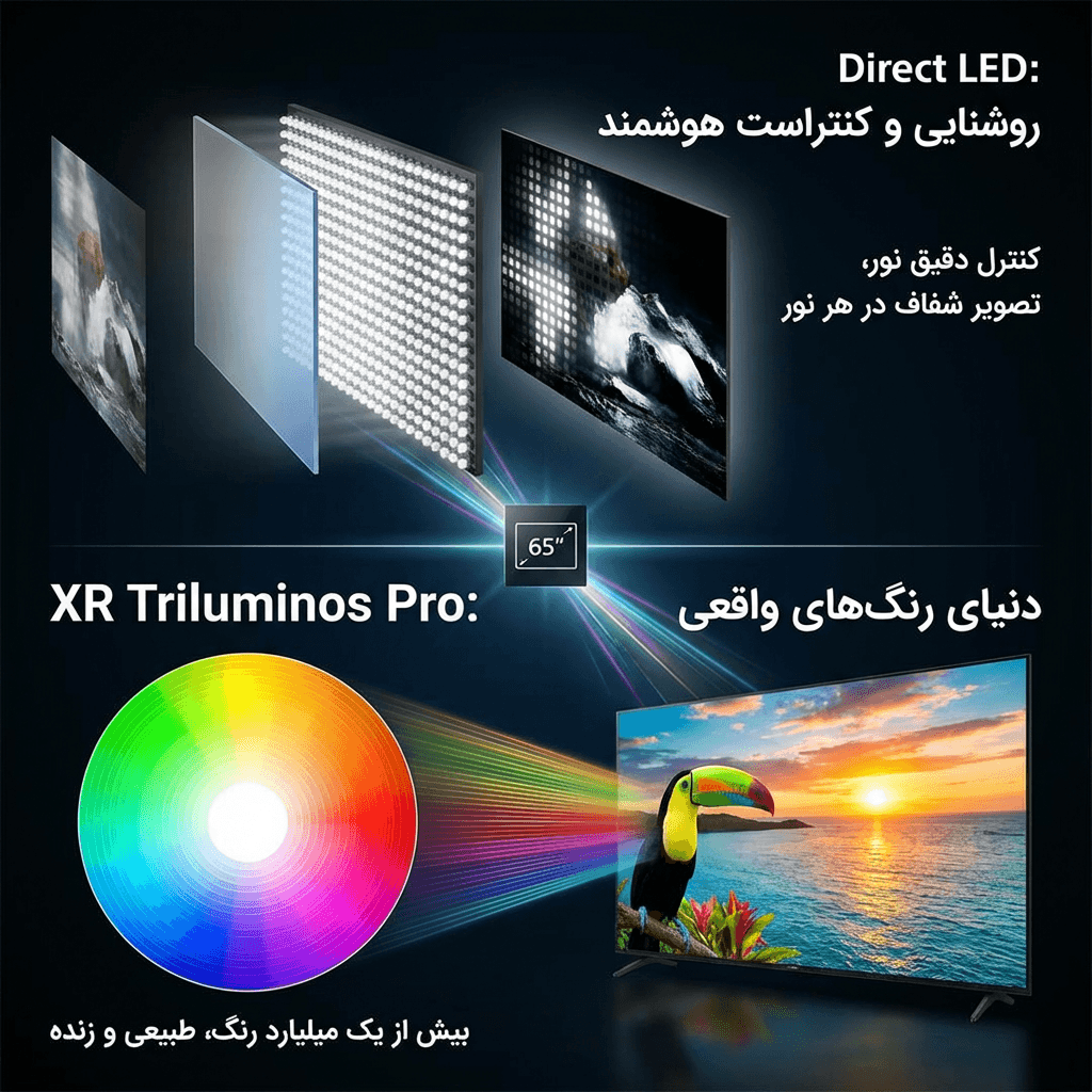 خرید تلویزیون 65XR50 با تکنولوژی رنگ Triluminos Pro